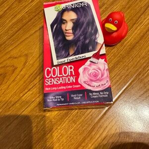 Garnier Color (Discontinued limit addition.) Grape Purple